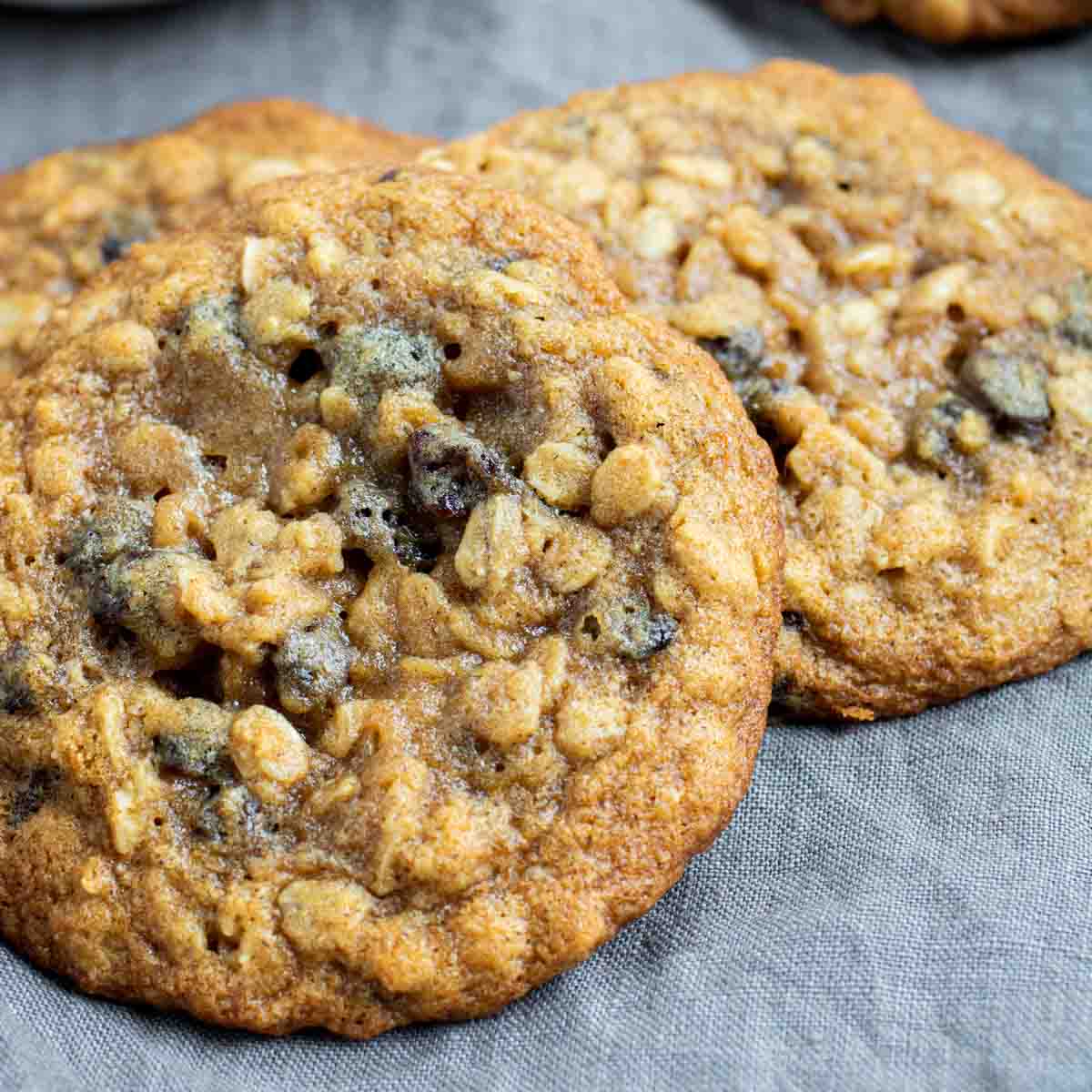 Oatmeal Raisin